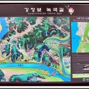 강정보 녹색길 이미지