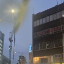 💬 엄마와 함께한 든든한 한 끼 – 을지로핫플 청와옥 편백솥밥정식 &amp; 동해오징어숯불구이 솔직후기