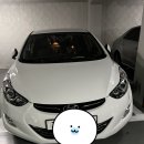 진짜 세차에 진심인 사람들 . 세진사 내돈내산 후기!