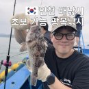 가꾸는동안배곧점 | 인천배낚시 체험 인천바다낚시 초보도 우럭 성공 새벽출조 후기