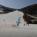2025년에 꼭 가봐야 할 국내 스키장 추천 &amp; 곤지암스키강습 안내