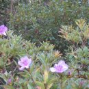 동변초등 이미지