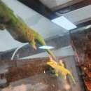 수암농장1 이미지