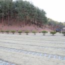 울진군립추모원 봉안당 이미지