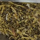 서정대학 구내식당 이미지