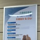 시드니동물병원 이미지
