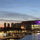 센트럴파크역1-1 | 송도 | 아늑한 카레 맛집 | 센트럴파크역 | 카레즈 후기