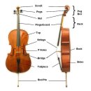 첼로 이미지
