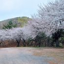 삼길산 화장실 이미지