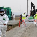 형은농장 이미지