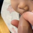 조  치 | [성산일출봉맛집] 성산바다 - 뼈없는 순살 갈치조림 세트 후기