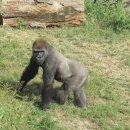 쓰리팝(3POP PC) 이미지