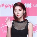 (주)혜빈 데일리안