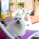 멍펜션13 이미지