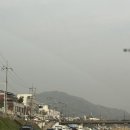 전주교육대학교 | [전주/완산칠봉산] 전주꽃놀이 🌸전주겹벚꽃 🌺완산칠봉꽃동산 4월 초중순 실시간 후기(주차꿀팁🚗)