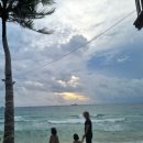 코스메오 이미지