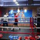 고릴라복싱GYM 이미지