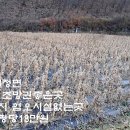 괴산군 불전면 전원주택지 전552평 평당18만원 이미지