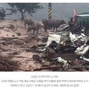 사상 초유 전 군민 대피령…경남 산청 등 수마로 이미지