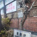 CU용마산점 | [용마산] 초보자 등산하기 좋은 곳 - 코스 추천
