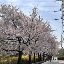 돼지탈출넘버원 | 🇰🇷 | 한국 일상 | 먹고 싶은 거 다 먹고, 가족, 친구들과 시간 보내는 백수의 일상