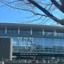 해성편의점 | 일년에 한번은 꼭 가는 부산여행🌉 전포동편(해성막창/부사노뎅/수영본가돼지국밥)