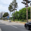 사임당로1-1 이미지