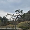 비젼힐스 | 남양주 비전힐스CC의 아름다운 가을 풍경, 라운딩 후기