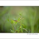 곡정초등학교 이미지