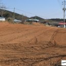 마룡농장 이미지