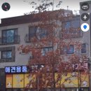 송산그린 펫 이미지