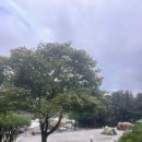 와라캠핑장 | 캠핑]가평 포레스트소울 캠핑장에서 캠핑즐기기(캠핑요리, 캠핑추천요리)