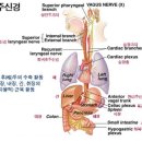 (주)다미 이미지