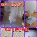 해평 약목 지천 도개 옥성톡토기방역 톡토기박멸 톡톡기방역 톡톡이박멸 하얀벌레방역 톡토기훈증방역 완전박멸 전지역훈증박멸 이미지