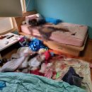 만수1동 행정복지센터 이미지