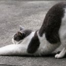 김김김