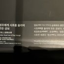 금보약국 이미지