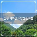 사리마을회관 | 산청 백두대간 수양산 등산 후기 : 사리마을에서 벌목봉 지나 지리산 둘레길로 연결되는 연계코스