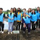 하나님의교회 [필리핀] ASEZ 자원봉사 대나무 심기 2024 이미지