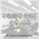 우쿠렐레(중급) 이미지
