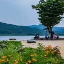 두물머리 이미지