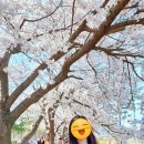 삿갓봉근린공원 네이버블로그