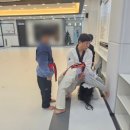 엠티에이태권도 이미지