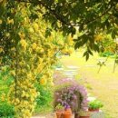 하동목장 이미지