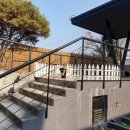 토실이네 애견 이미지