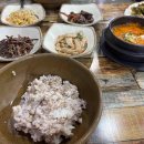 오케이토스트김밥 이미지