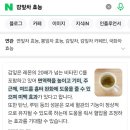 여시들 제발 감잎차 마셔줘 제발 제발 이미지