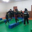 국술관합기도 이미지