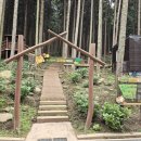 사천시 어린이도서관 | 사천 여행 아이랑 유아숲체험원, 그물놀이터(네트 포레) 예약 방법 및 이용 후기