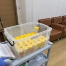 이든메디언스 네이버블로그